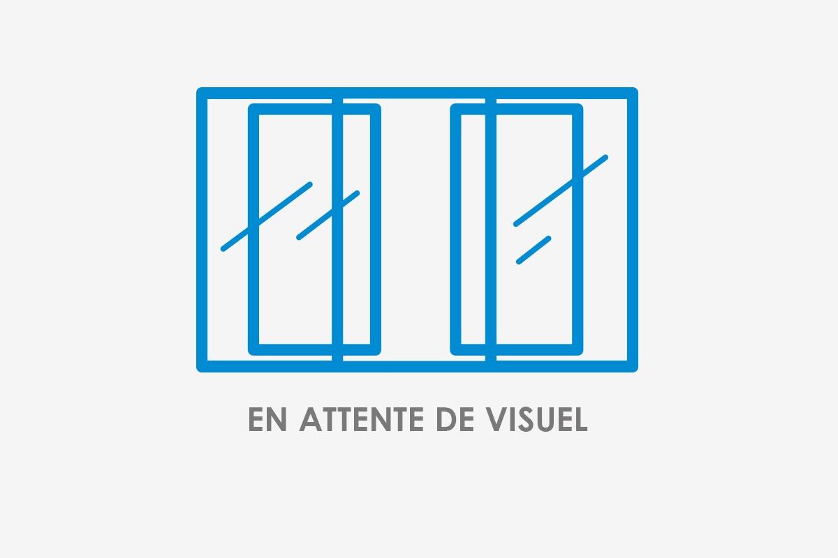 PORTES PIÉTONNES CINTRÉES 